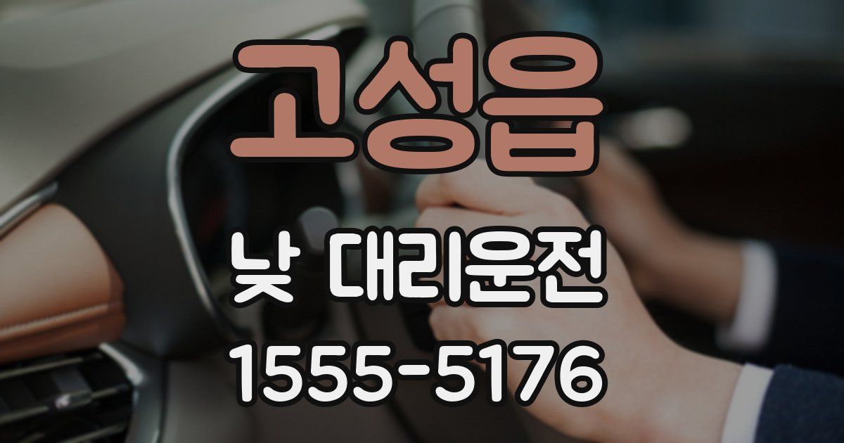 고성읍 낮 대리운전