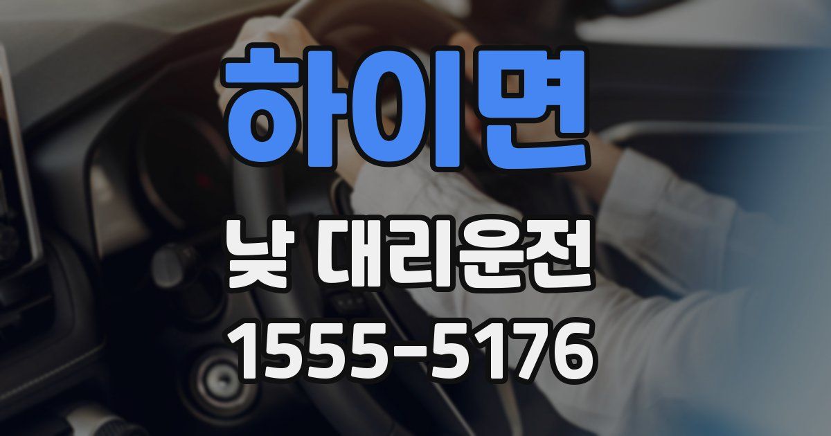 하이면 낮 대리운전