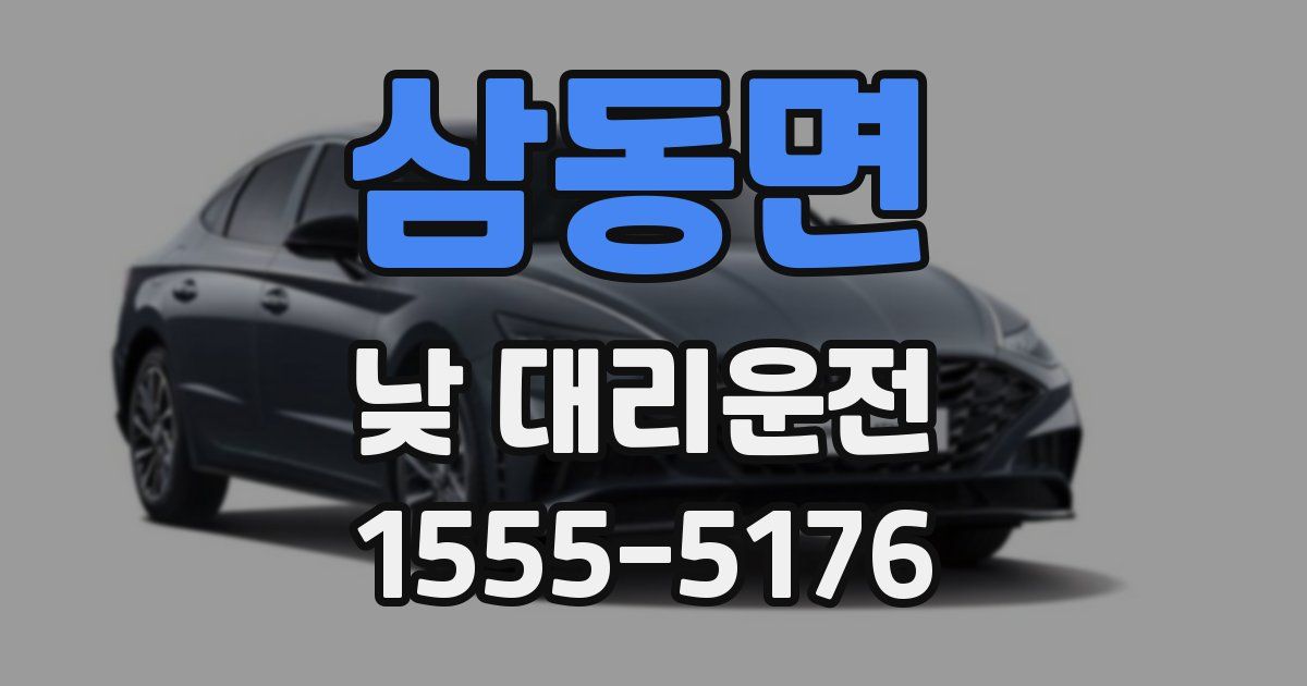 삼동면 낮 대리운전