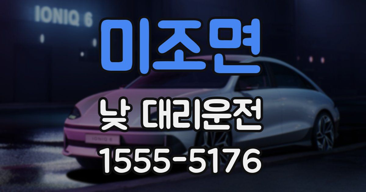 미조면 낮 대리운전