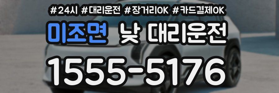 미조면 낮 대리운전
