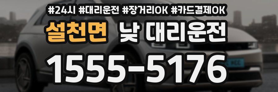 설천면 낮 대리운전