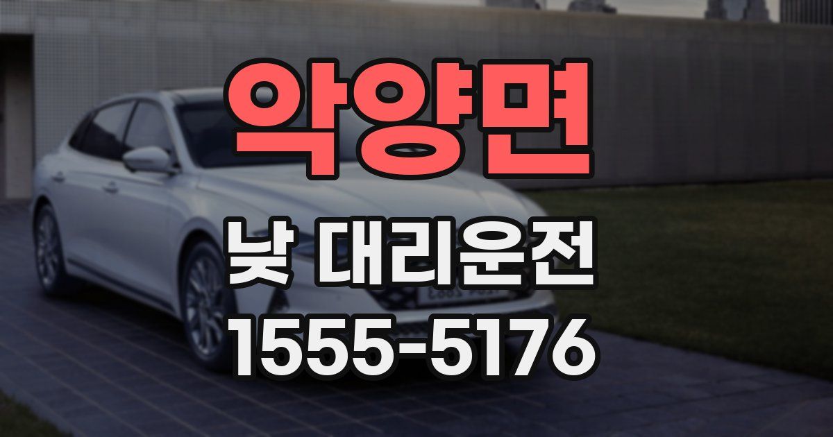 악양면 낮 대리운전