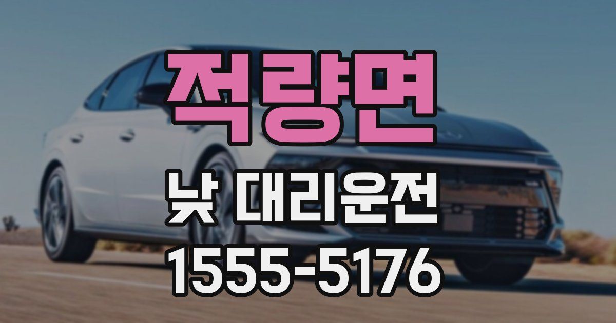 적량면 낮 대리운전