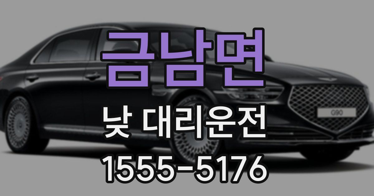 금남면 낮 대리운전