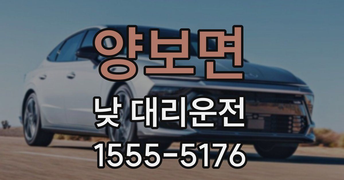 양보면 낮 대리운전