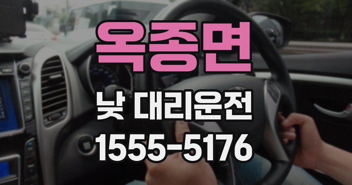 옥종면 낮 대리운전