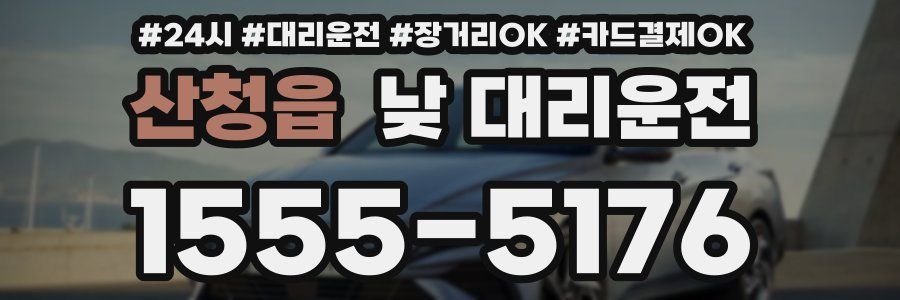 산청읍 낮 대리운전