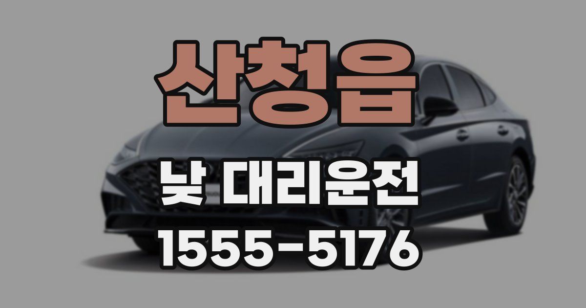 산청읍 낮 대리운전