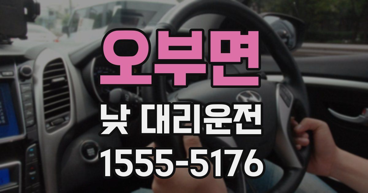 오부면 낮 대리운전