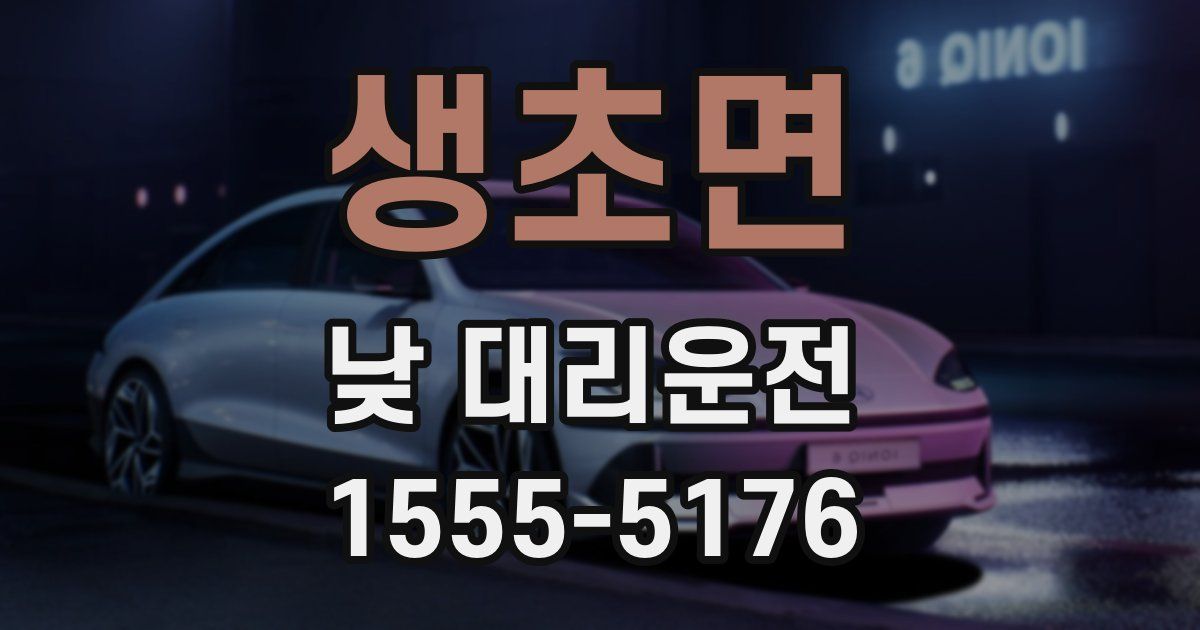 생초면 낮 대리운전