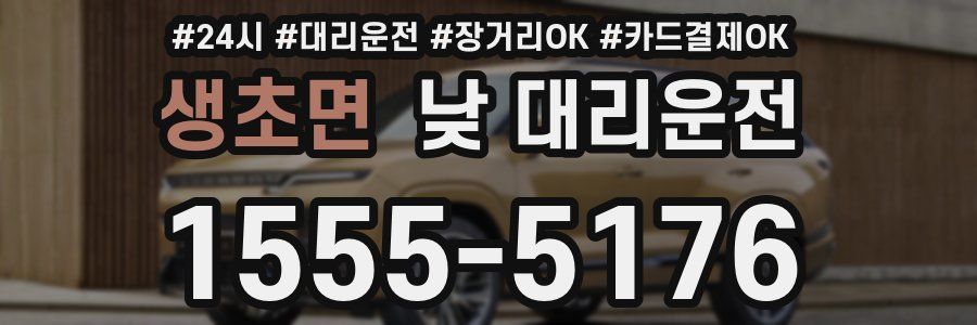 생초면 낮 대리운전