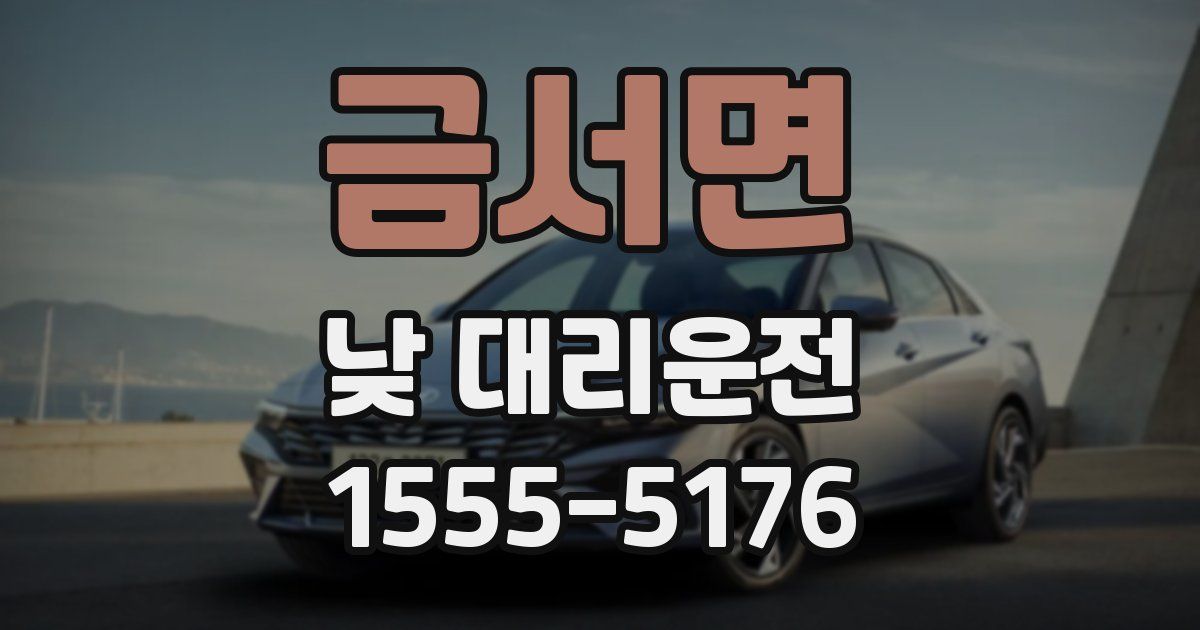 금서면 낮 대리운전