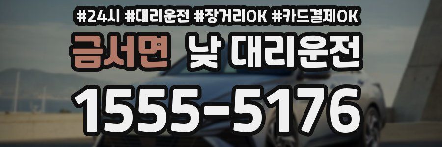 금서면 낮 대리운전