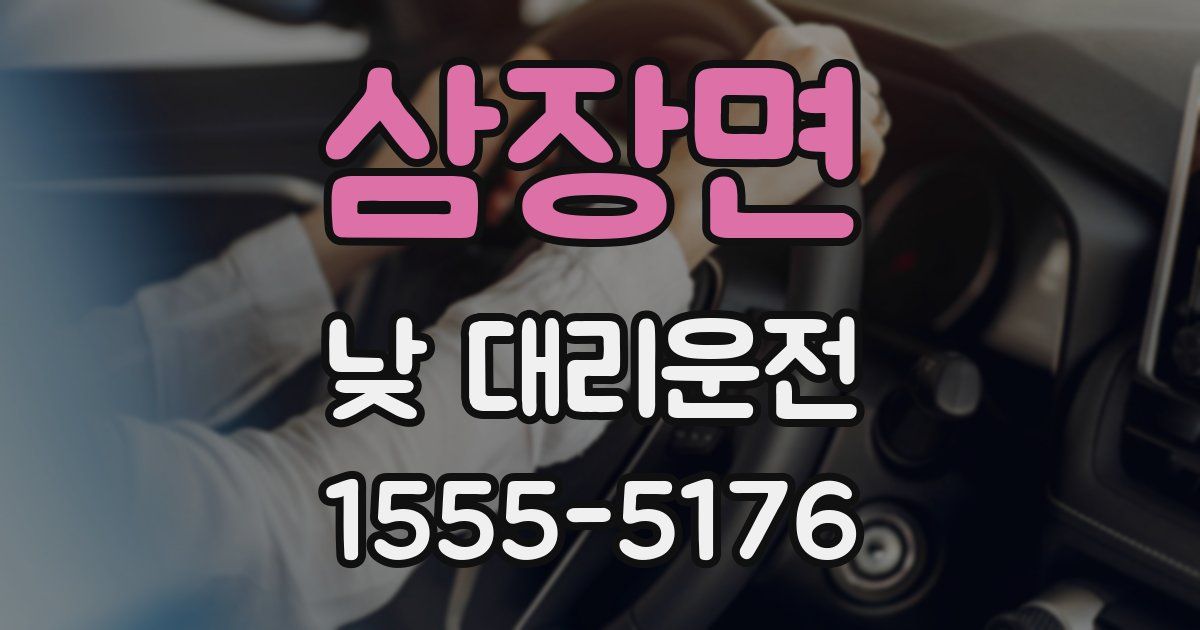 삼장면 낮 대리운전