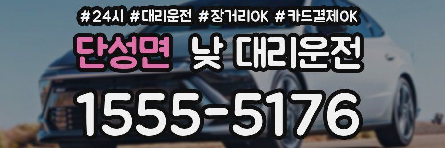 단성면 낮 대리운전