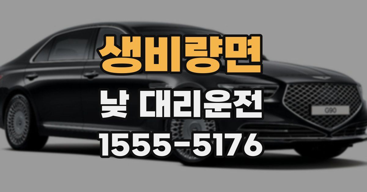 생비량면 낮 대리운전