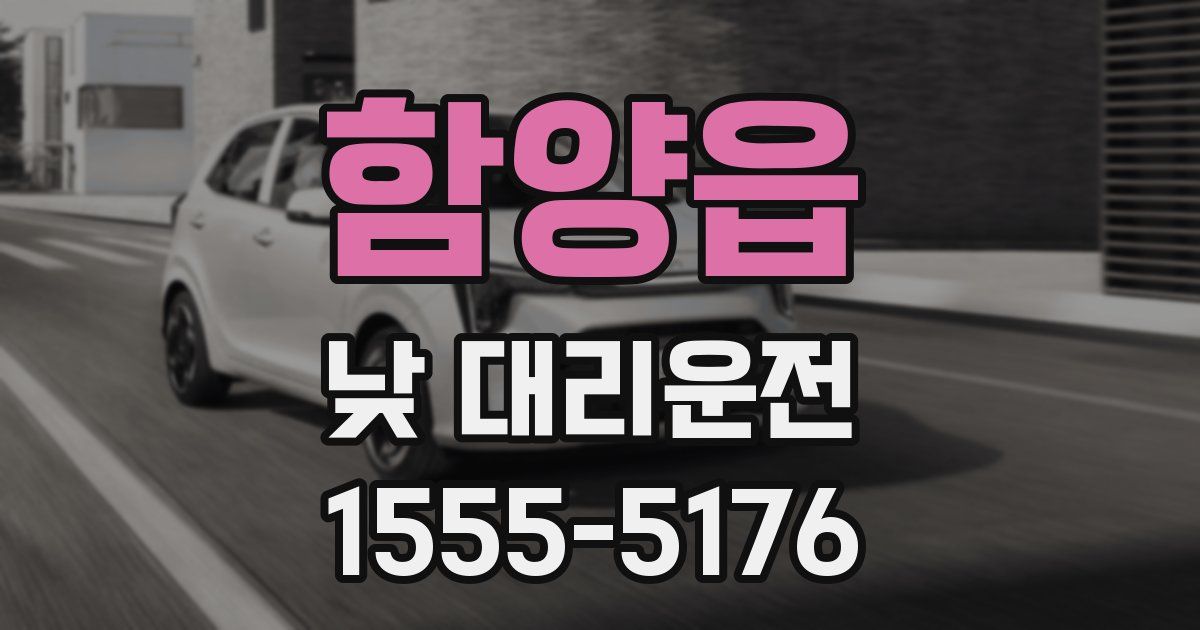 함양읍 낮 대리운전