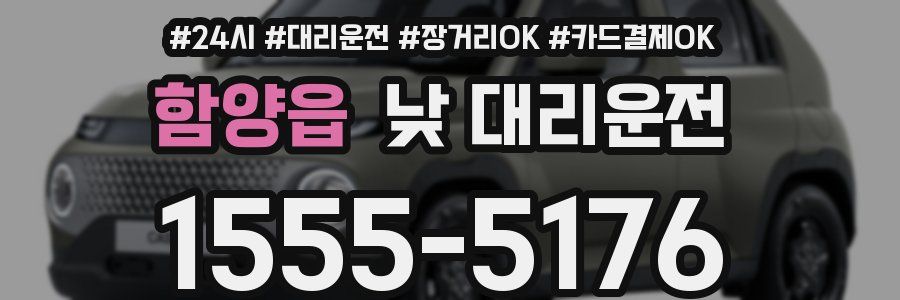함양읍 낮 대리운전