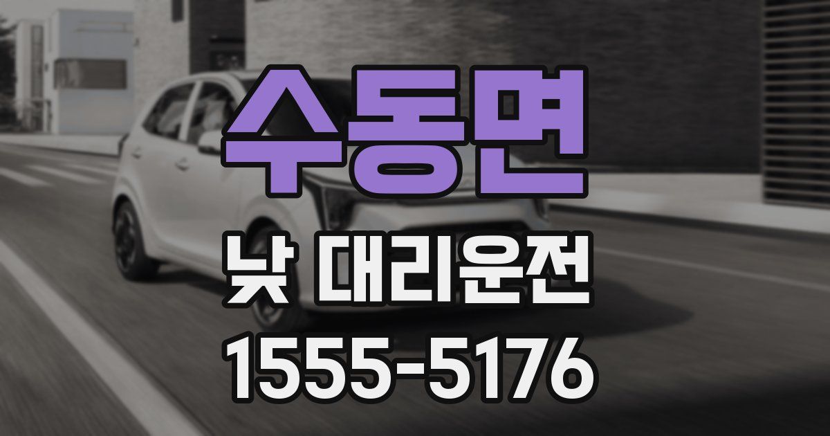 수동면 낮 대리운전