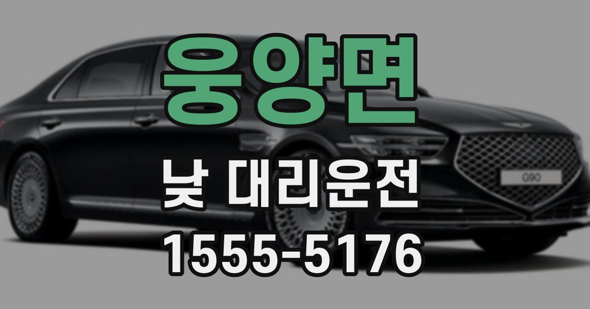 웅양면 낮 대리운전