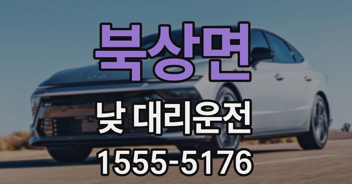 북상면 낮 대리운전