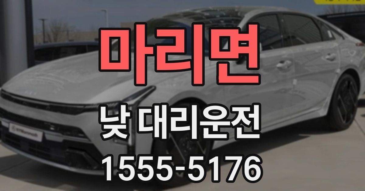 마리면 낮 대리운전
