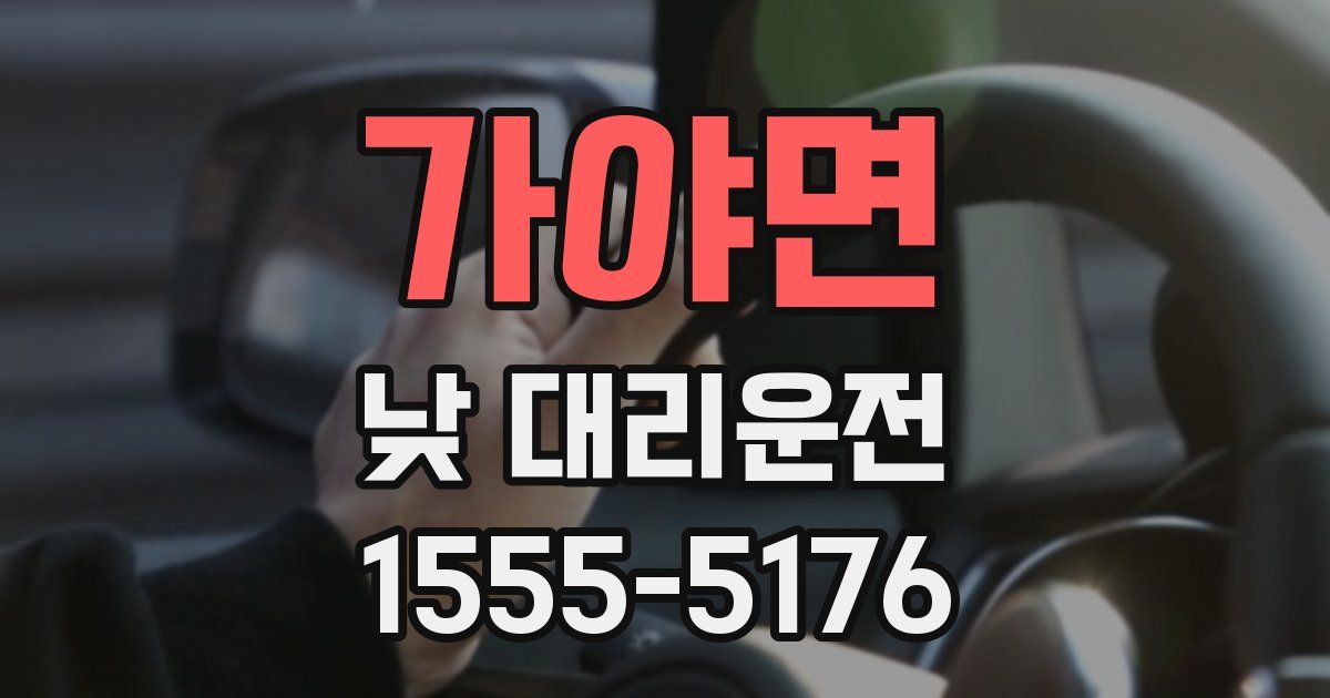 가야면 낮 대리운전