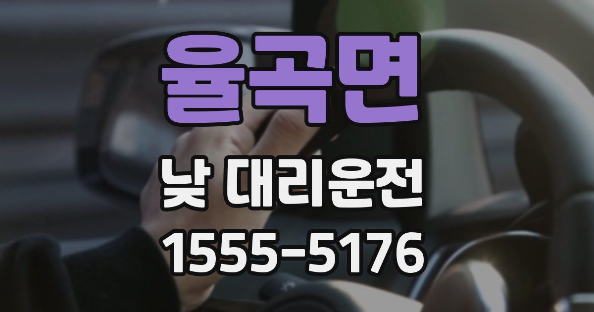 율곡면 낮 대리운전