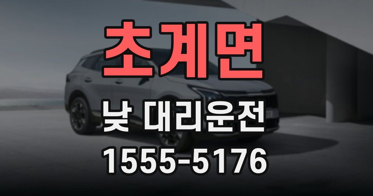 초계면 낮 대리운전