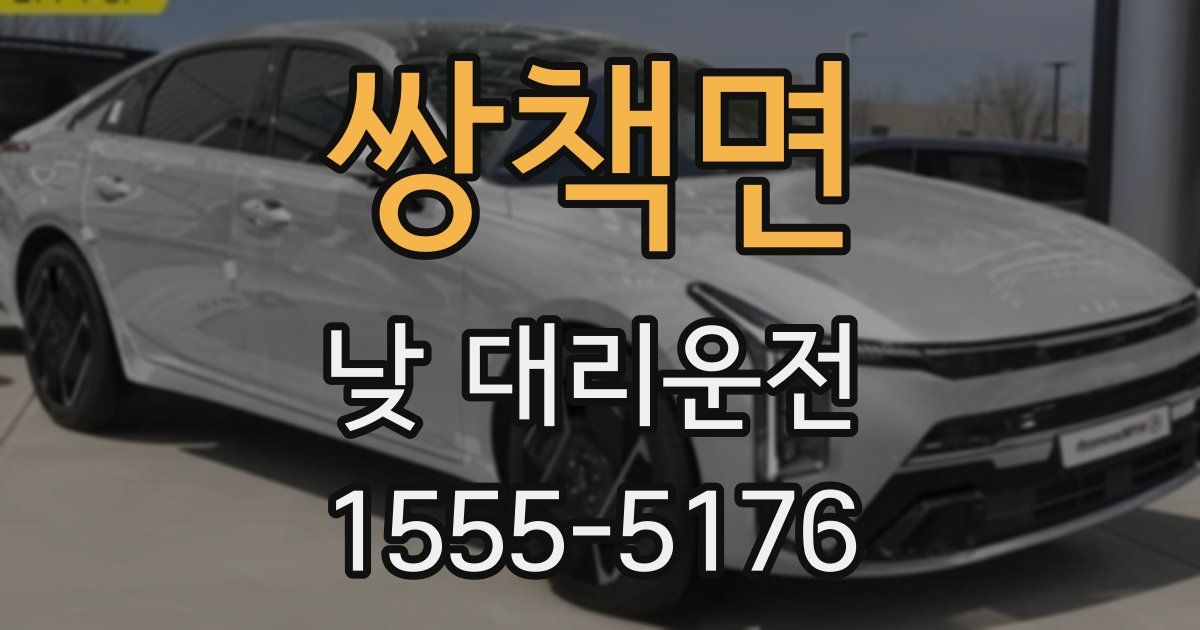 쌍책면 낮 대리운전