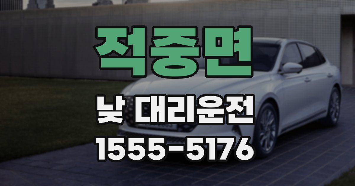 적중면 낮 대리운전