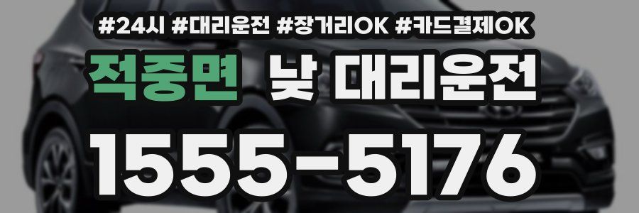 적중면 낮 대리운전