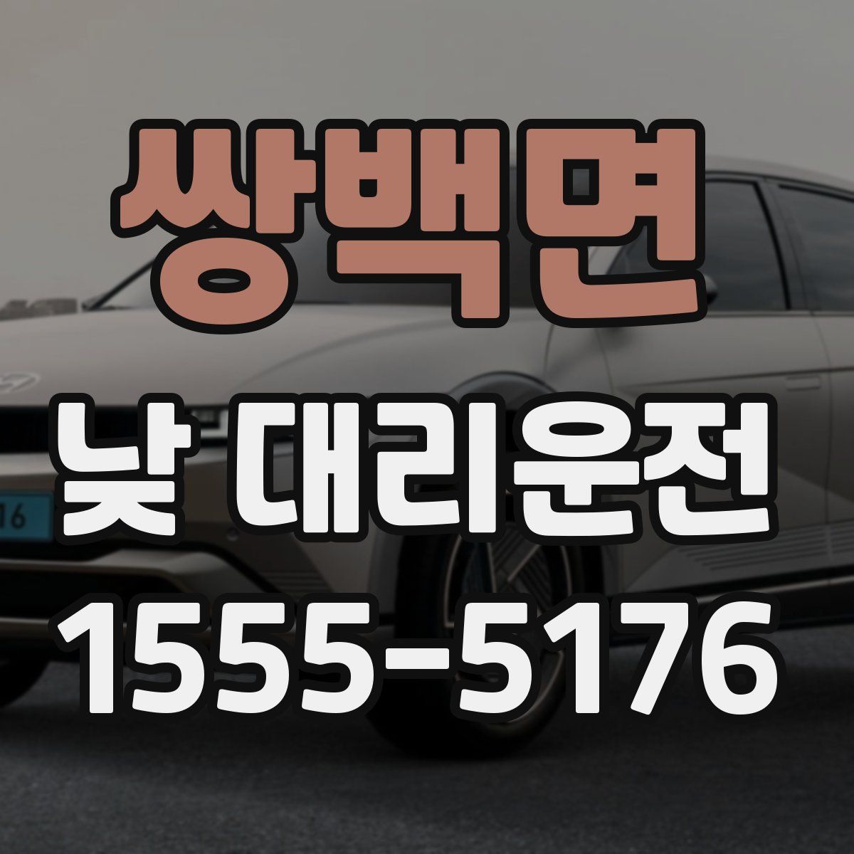 쌍백면 낮 대리운전