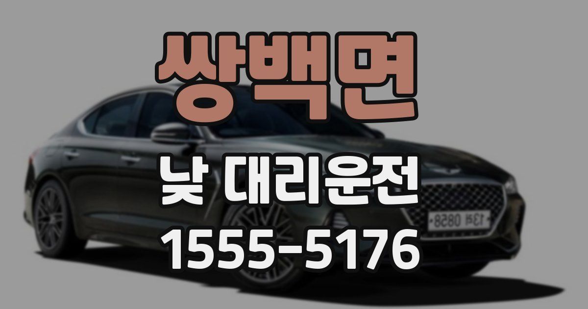 쌍백면 낮 대리운전