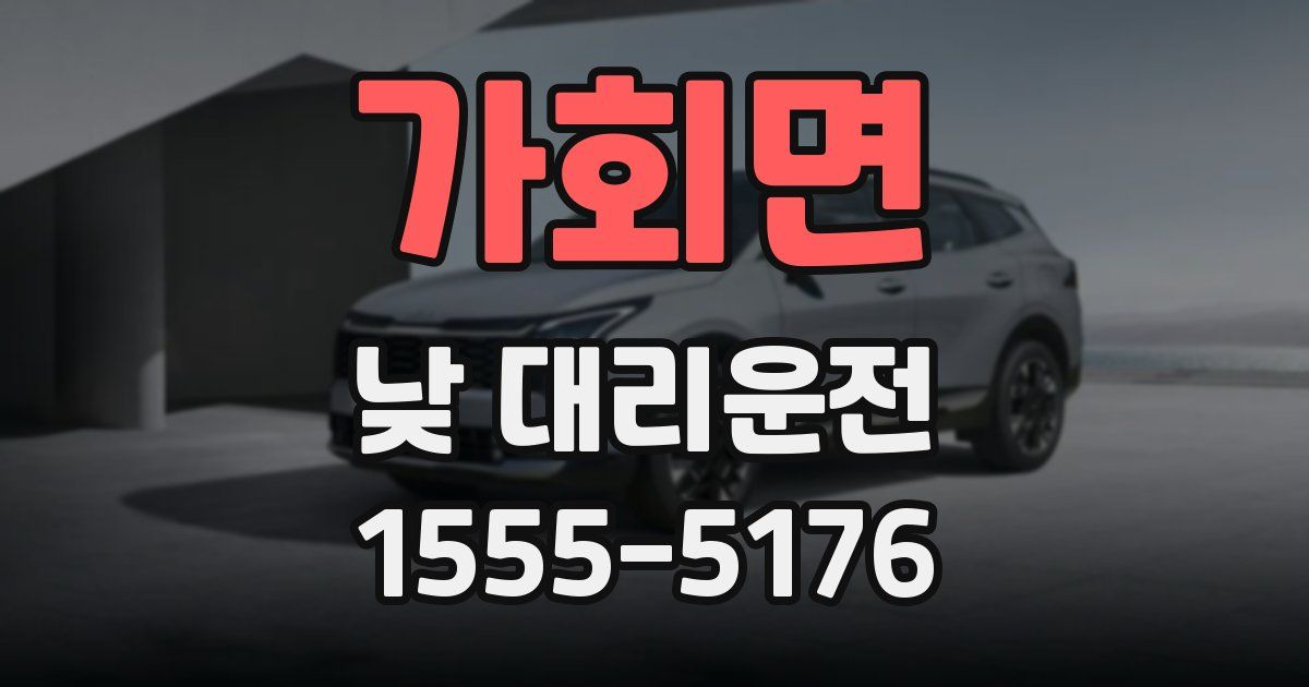 가회면 낮 대리운전
