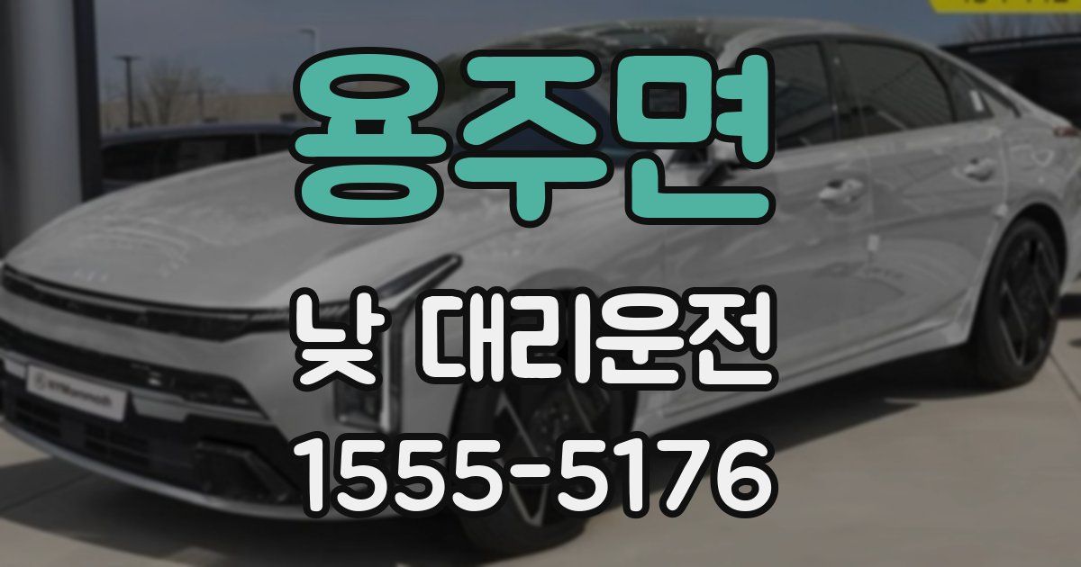 용주면 낮 대리운전