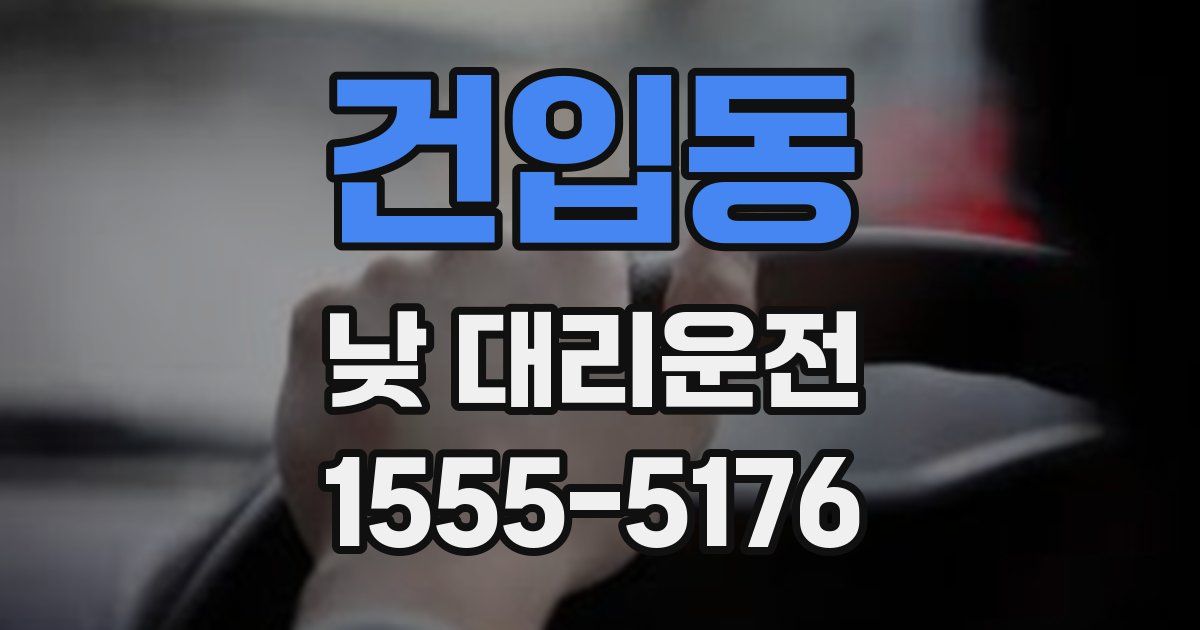 건입동 낮 대리운전