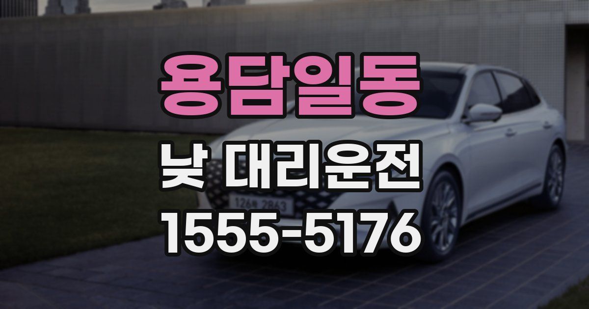 용담일동 낮 대리운전