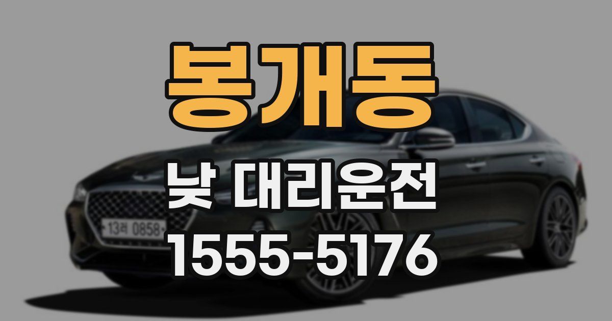 봉개동 낮 대리운전