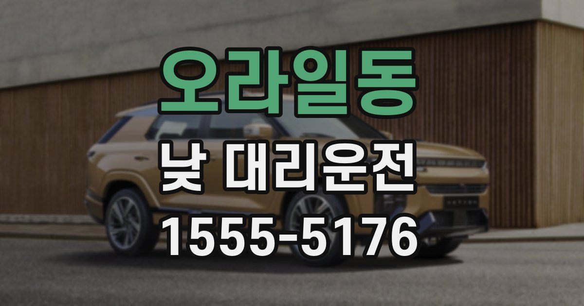 오라일동 낮 대리운전