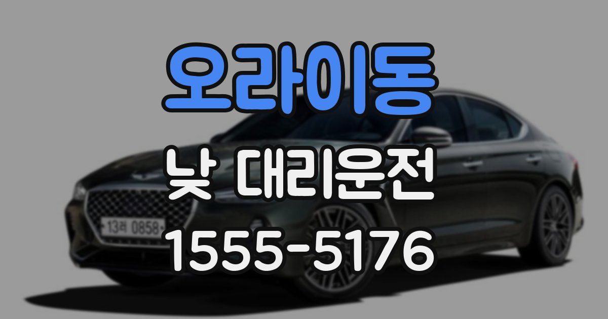 오라이동 낮 대리운전