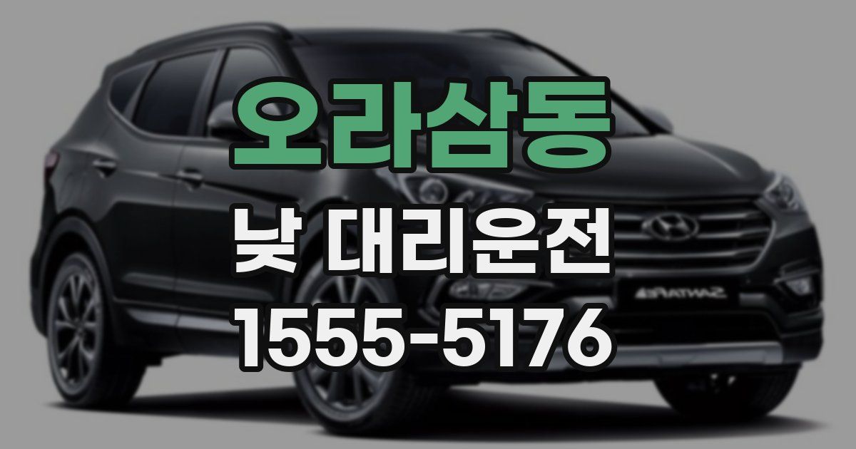 오라삼동 낮 대리운전