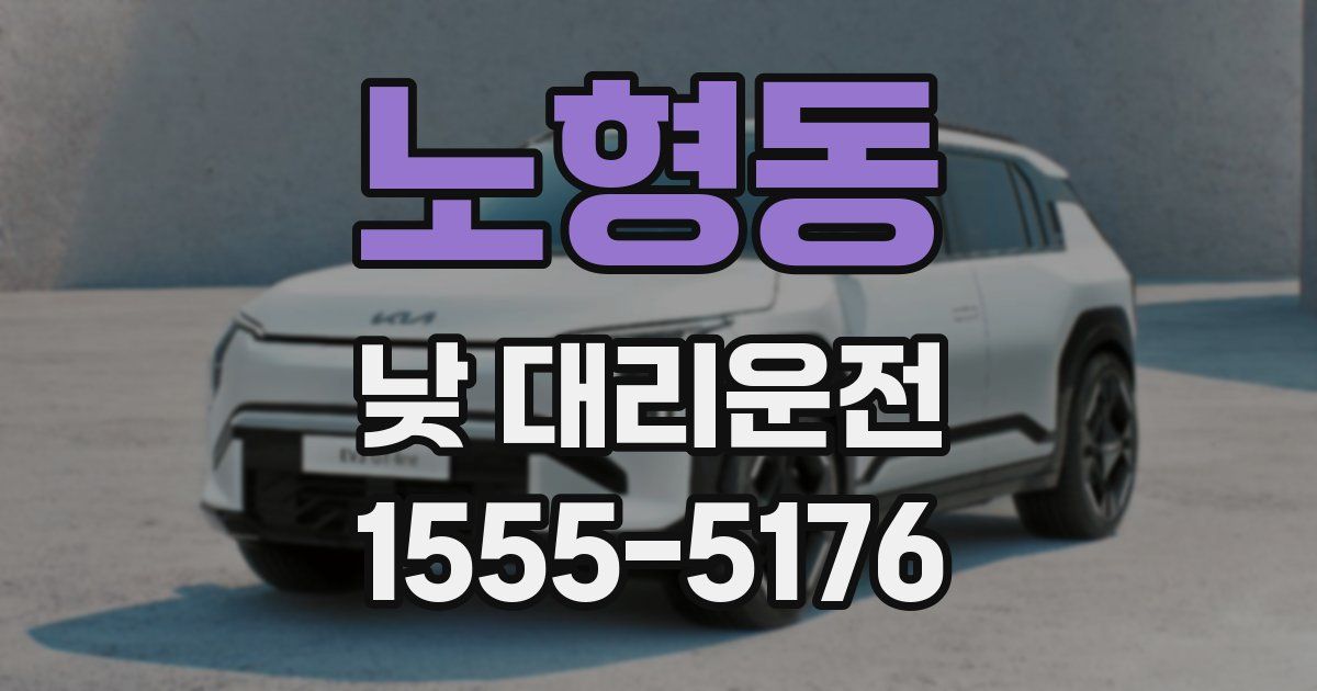 노형동 낮 대리운전