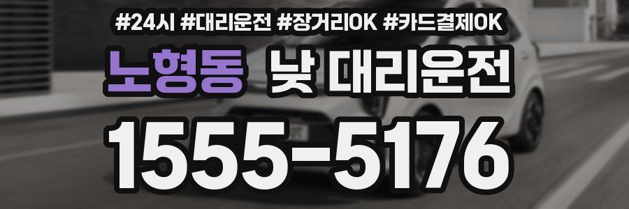 노형동 낮 대리운전