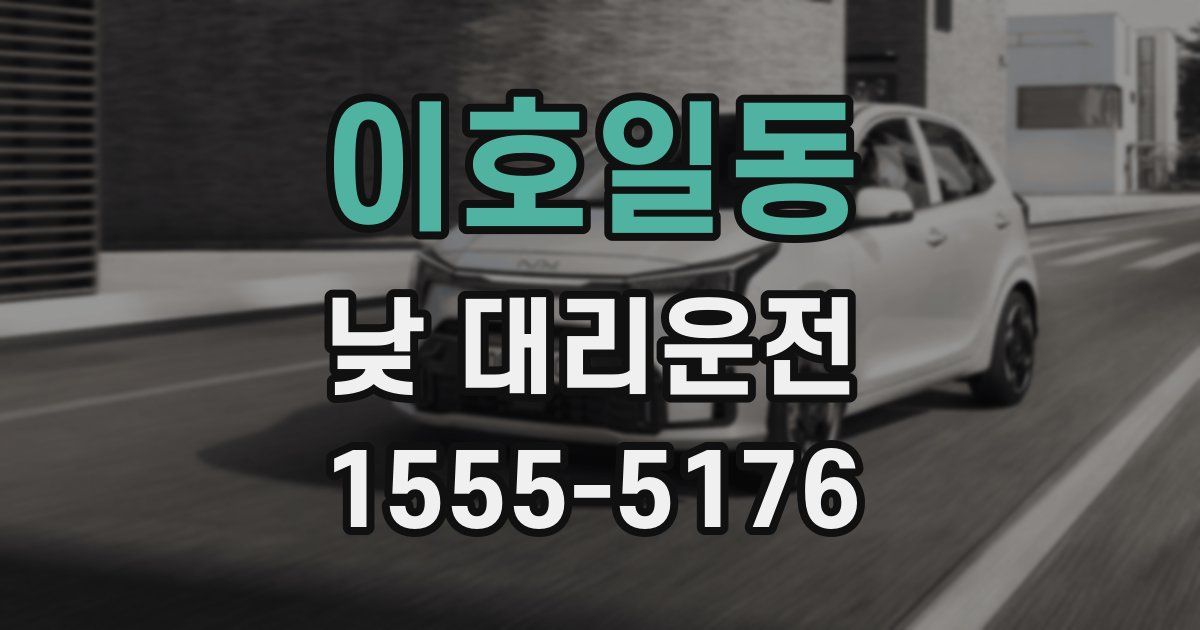 이호일동 낮 대리운전