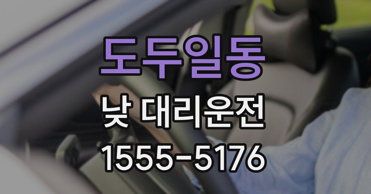 도두일동 낮 대리운전