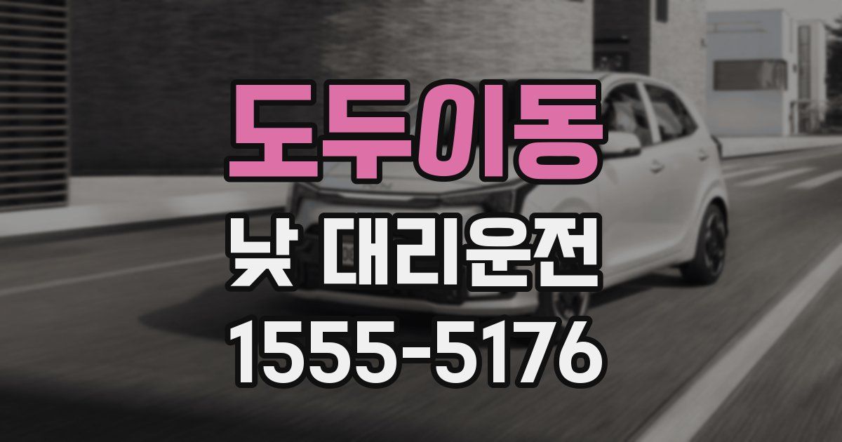 도두이동 낮 대리운전