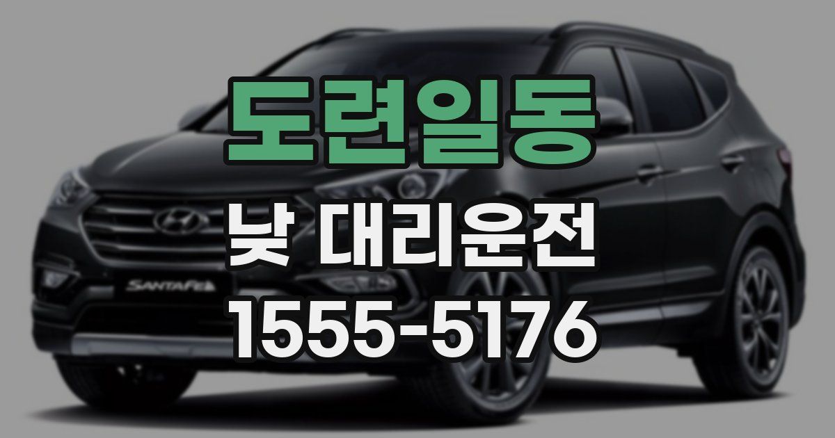 도련일동 낮 대리운전