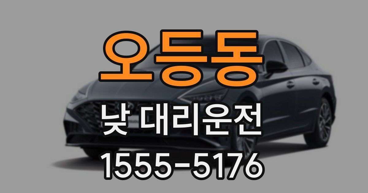 오등동 낮 대리운전